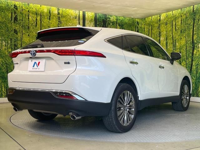 25343929_carP_l_12.jpg