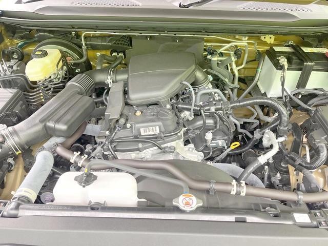 26731716_carP_l_16.jpg