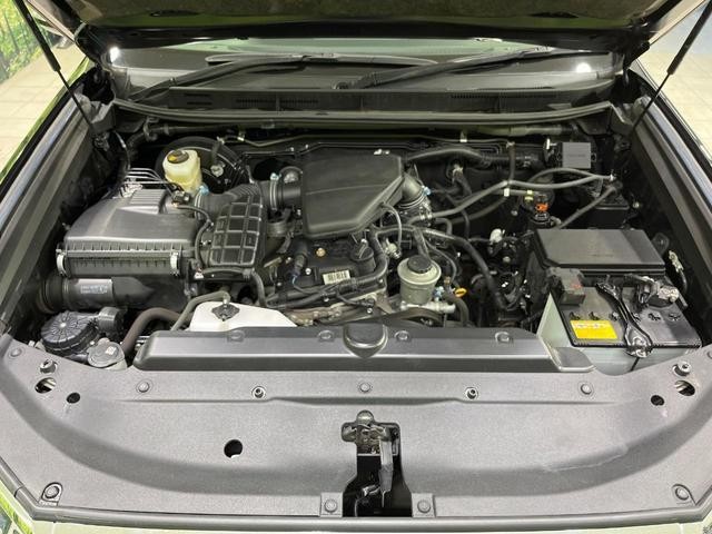 26402962_carP_l_18.jpg