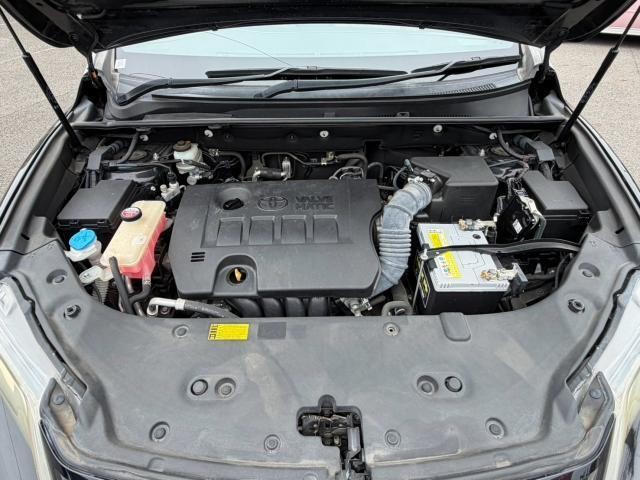 26373831_carP_l_17.jpg