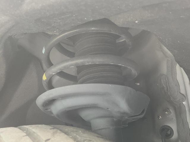 25982614_carP_l_20.jpg