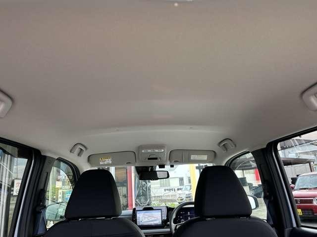 25569420_carP_l_7.jpg