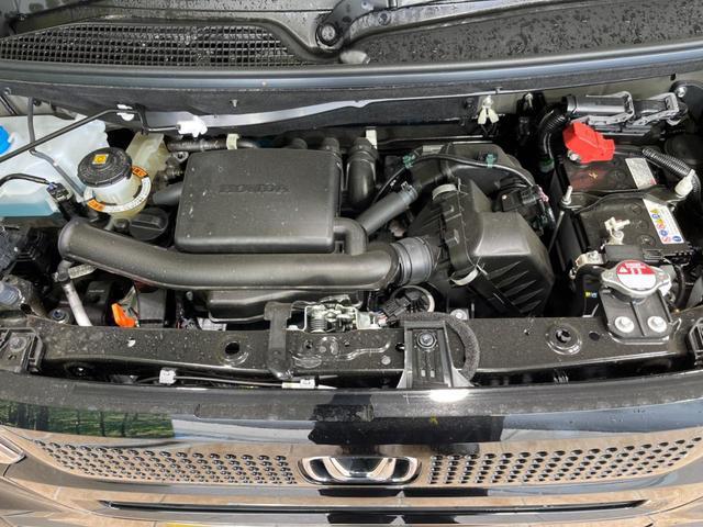 23301942_carP_l_16.jpg
