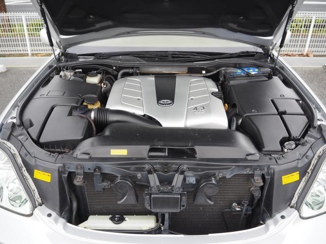 26246076_carP_l_12.jpg