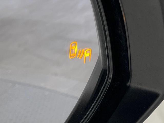 24300481_carP_l_14.jpg