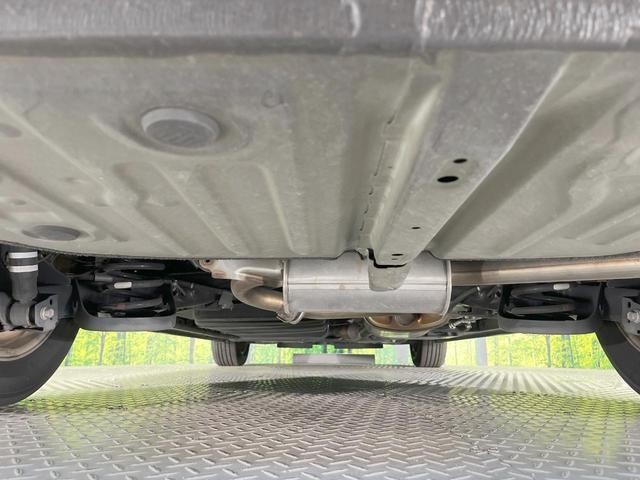 25262917_carP_l_18.jpg
