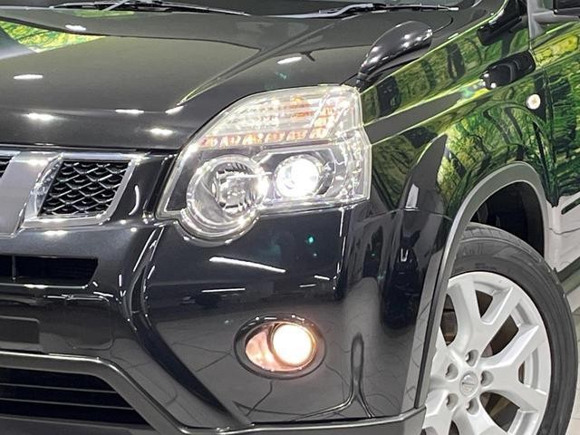 26210247_carP_l_7.jpg
