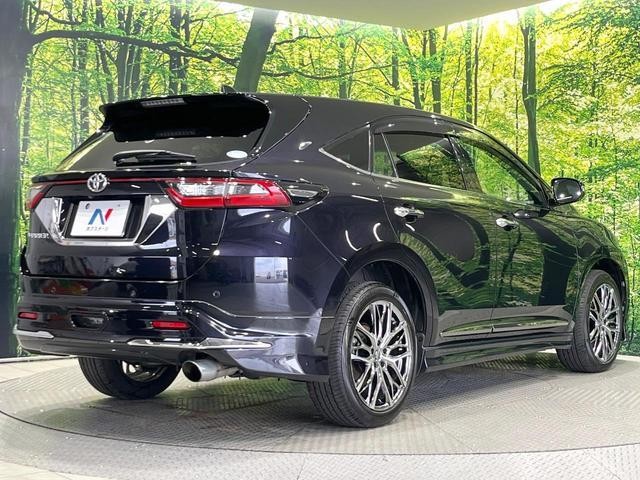 25015158_carP_l_12.jpg