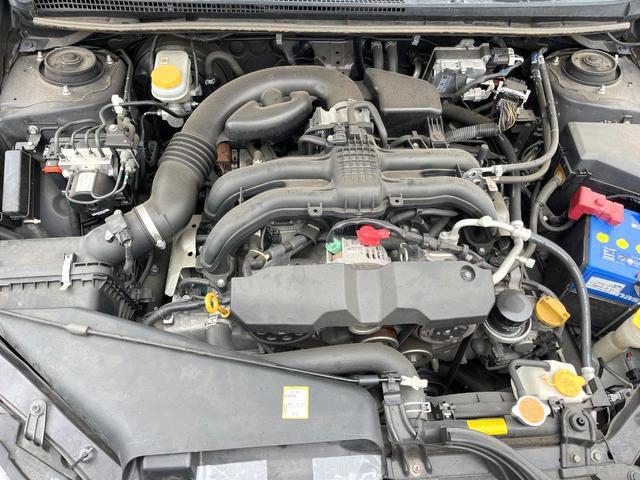 24828554_carP_l_16.jpg