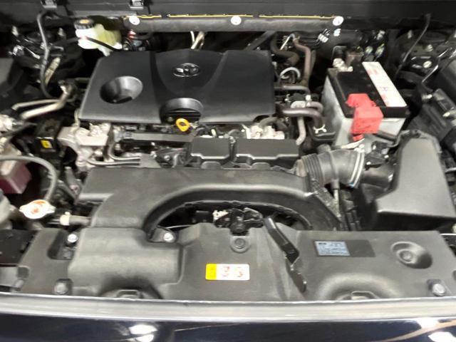 23944944_carP_l_18.jpg