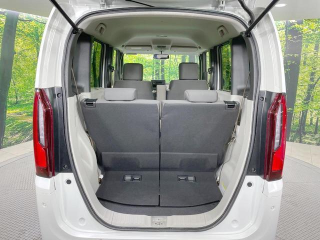 23735009_carP_l_5.jpg
