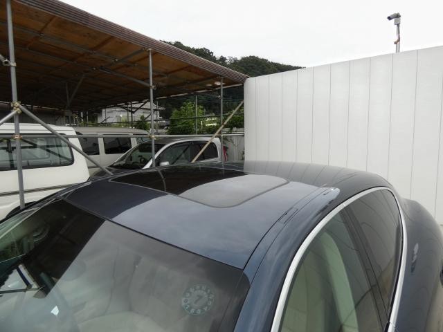 26028582_carP_l_6.jpg