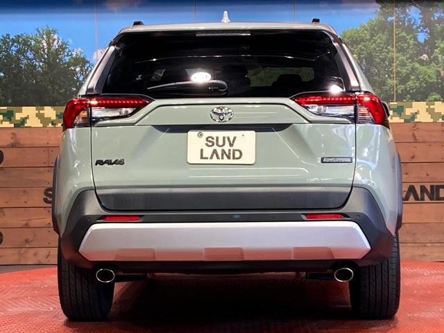 25096346_carP_l_9.jpg