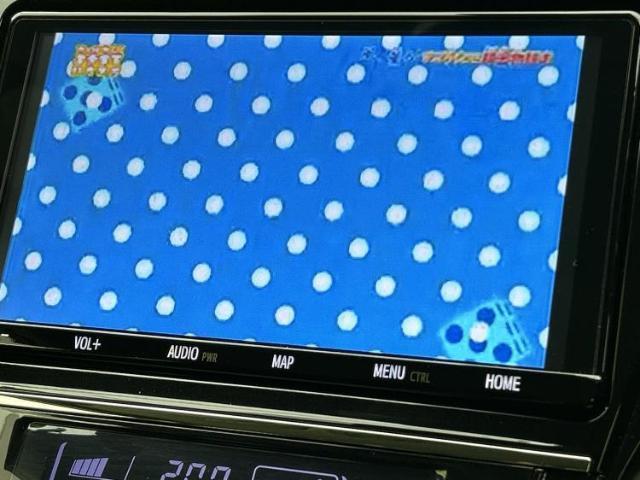 24233368_carP_l_6.jpg