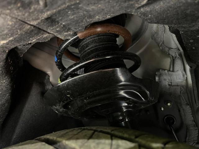 24481343_carP_l_20.jpg