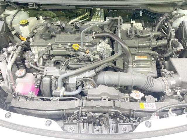26816386_carP_l_16.jpg