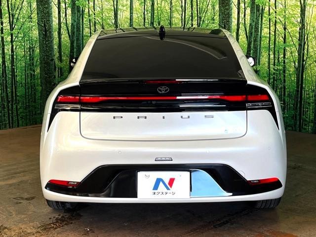 25884892_carP_l_9.jpg