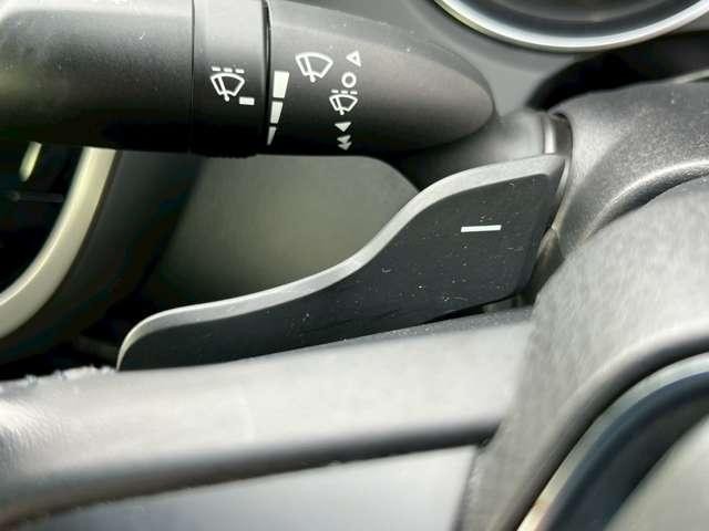 22656630_carP_l_18.jpg