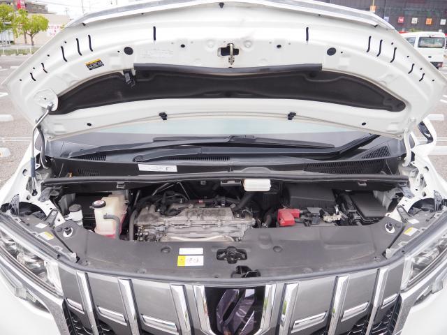 24083807_carP_l_12.jpg