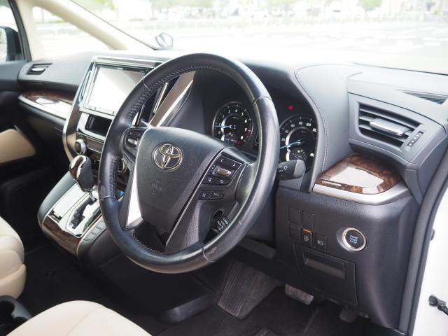 24083807_carP_l_14.jpg