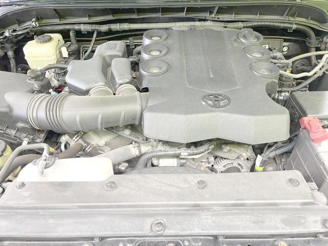26838616_carP_l_16.jpg