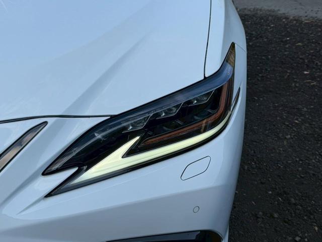24112646_carP_l_4.jpg