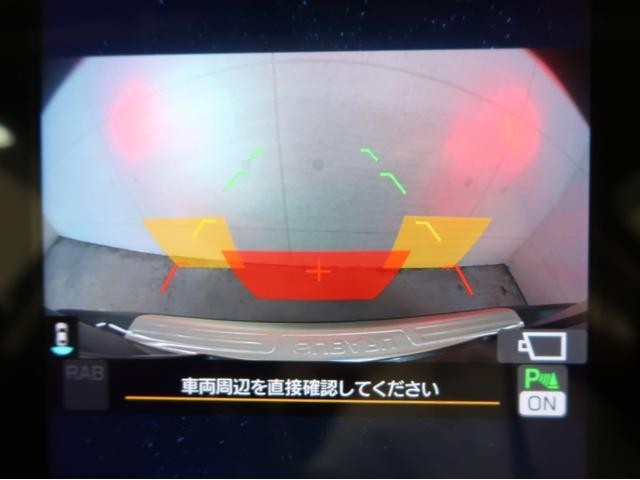 25606457_carP_l_18.jpg