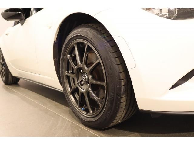 24899089_carP_l_20.jpg