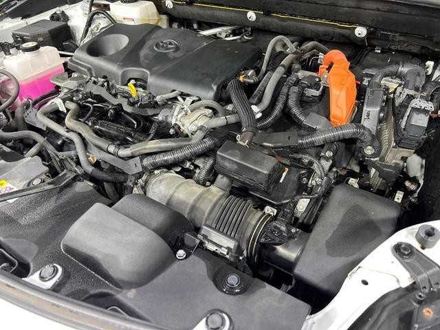 25527775_carP_l_20.jpg