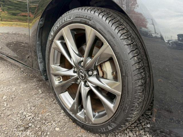 24112647_carP_l_19.jpg