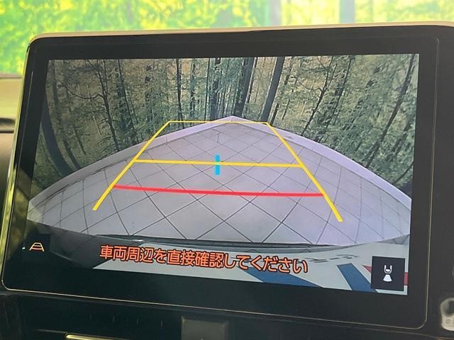 25962667_carP_l_13.jpg