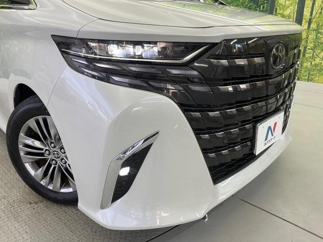 25694166_carP_l_9.jpg