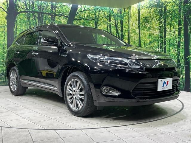 25506632_carP_l_11.jpg
