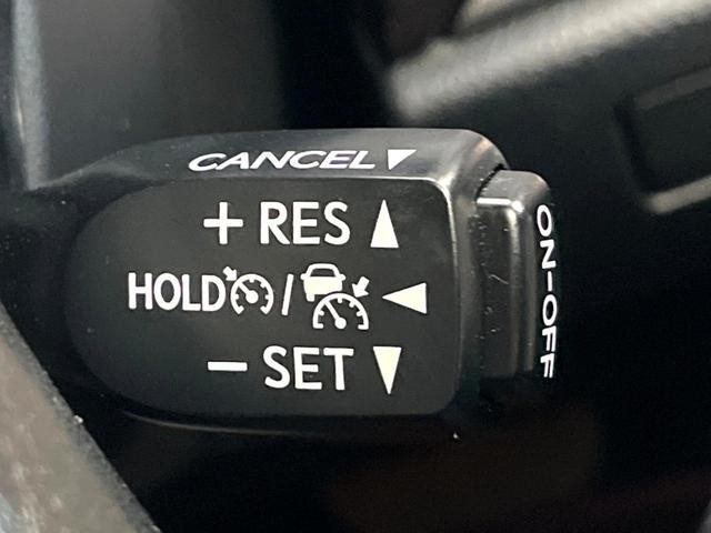 25962970_carP_l_14.jpg