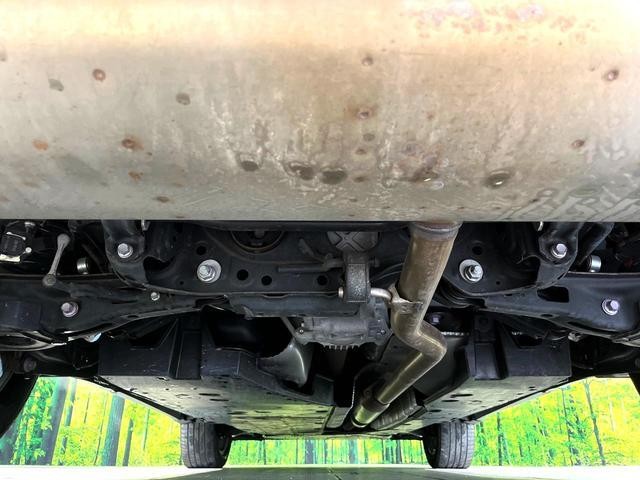 22660418_carP_l_18.jpg