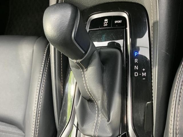 24700200_carP_l_11.jpg