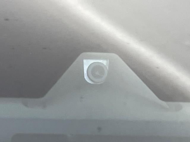 25694170_carP_l_13.jpg