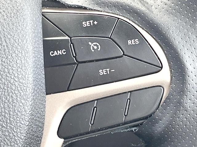 25199640_carP_l_10.jpg