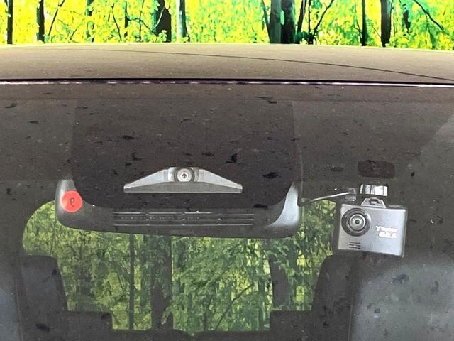 25096478_carP_l_15.jpg