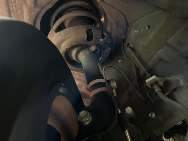 24995332_carP_l_20.jpg