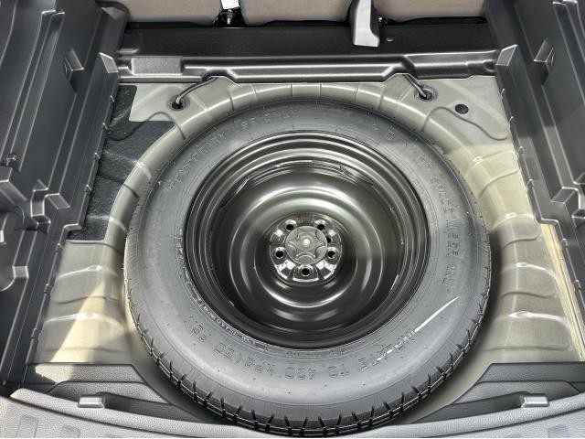 25173646_carP_l_11.jpg