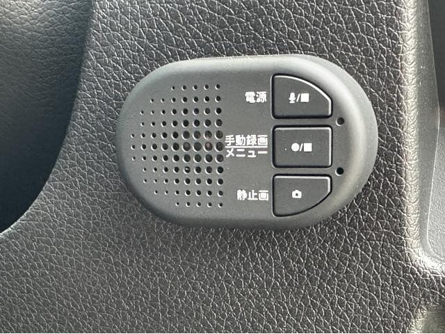 25173646_carP_l_5.jpg