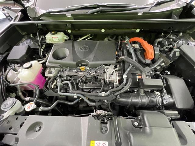 25118106_carP_l_16.jpg