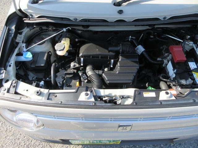 24995350_carP_l_12.jpg