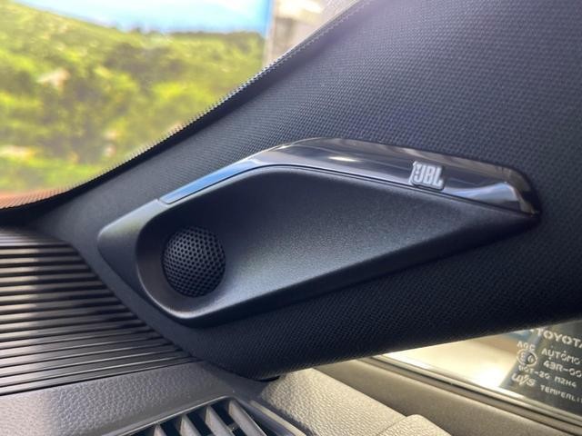 24933082_carP_l_17.jpg