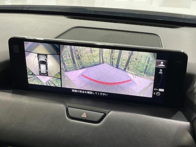 26469126_carP_l_4.jpg