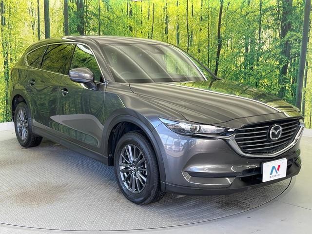 25694174_carP_l_16.jpg