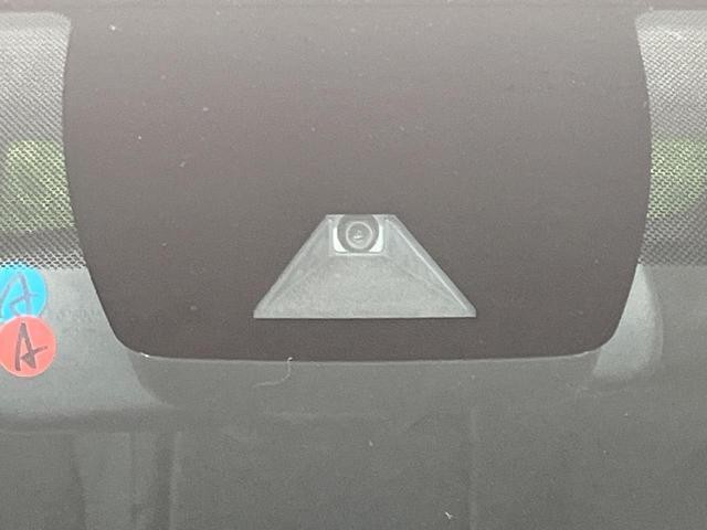 25506639_carP_l_14.jpg