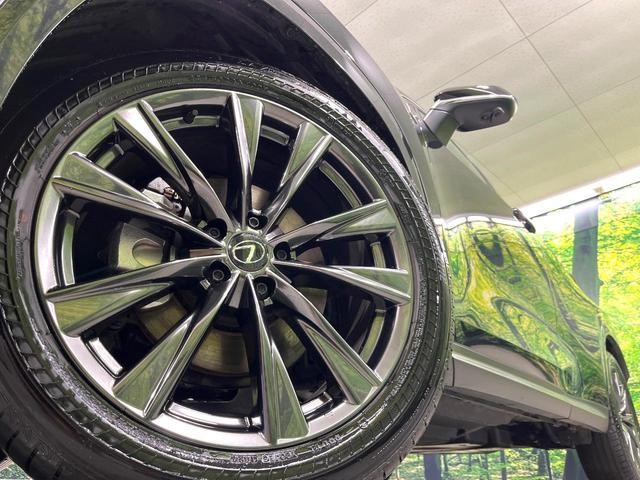 26731272_carP_l_7.jpg