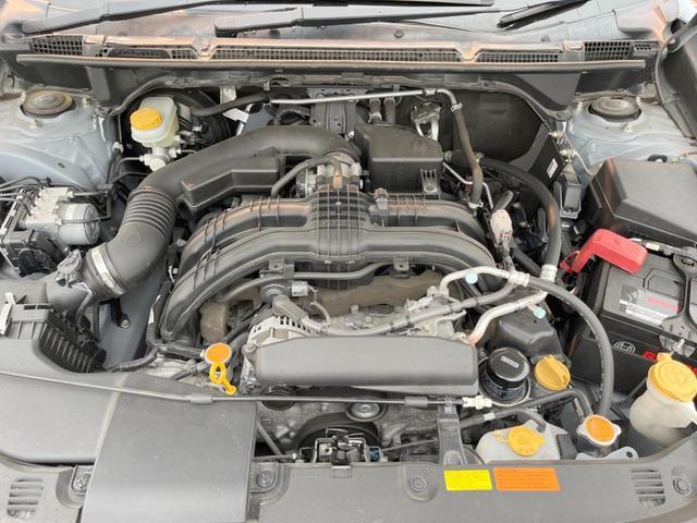 24089762_carP_l_16.jpg